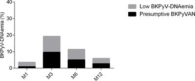 Pretransplantation seroreactivity in kidney donors and recipients as a predictive factor for posttransplant BKPyV-DNAemia